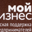В Татарстане при поддержке Центра «Мой бизнес» прошла образовательная программа для социальных предпринимателей с элементами геймификации - Зеленодольский район