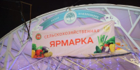 29 декабря в Татарстане пройдут заключительные сельхозярмарки этого года - Новости Зеленодольска