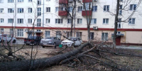 В Татарстане из-за очень сильного ветра объявили штормовое предупреждение - Новости Зеленодольска