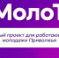 В Татарстане продолжается региональный этап проекта для работающей  молодежи ПФО «МолоТ» - Зеленодольский район