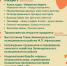 Программа Сабантуя в Зеленодольске 2025 - Новости Зеленодольска