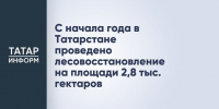 В Татарстане с начала года восстановлено 2,8 тыс. гектаров леса - Новости Зеленодольска