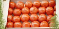 Как изменились цены на продукты в Татарстане - Новости Зеленодольска